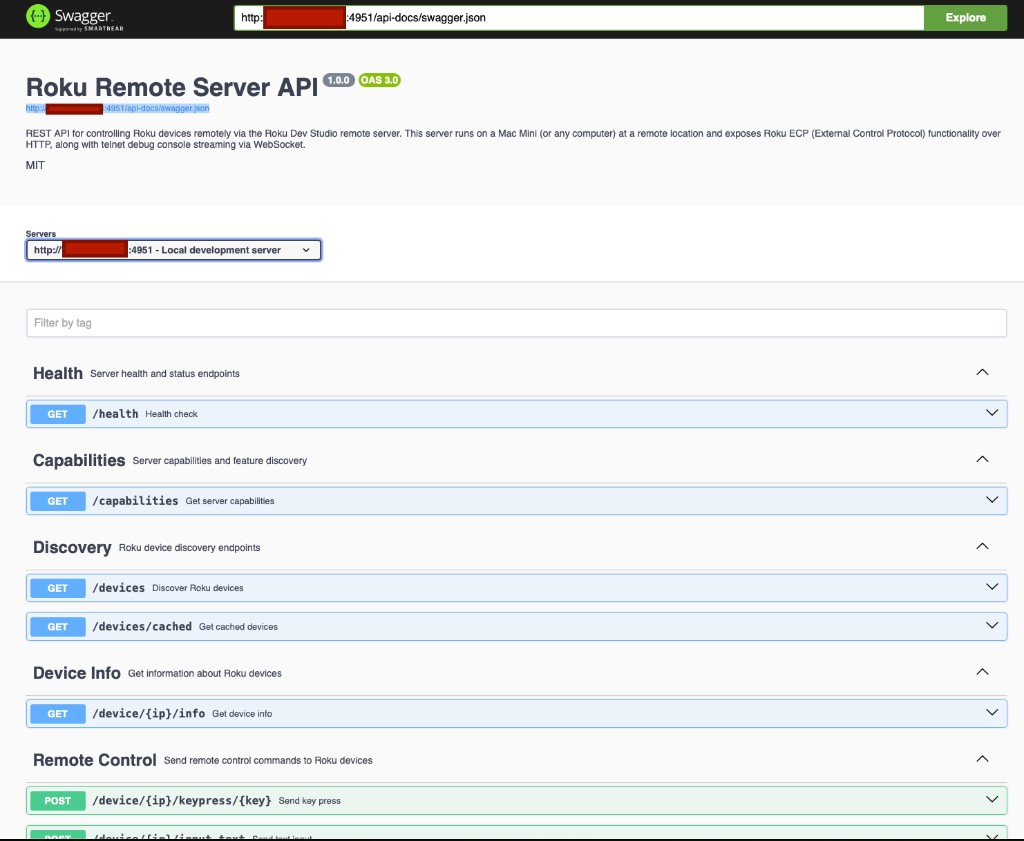 Remote server Swagger UI at /api-docs